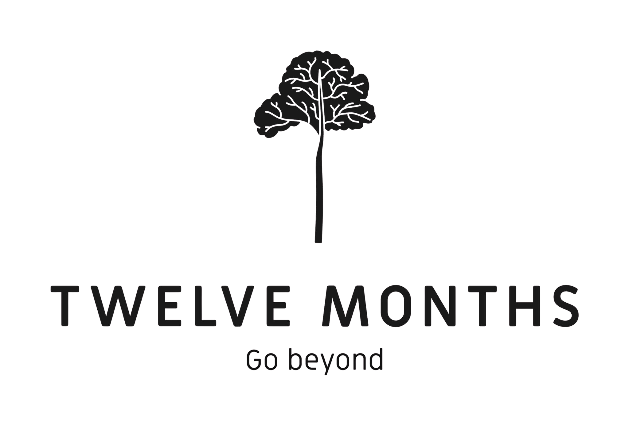 Twelve Months logo
